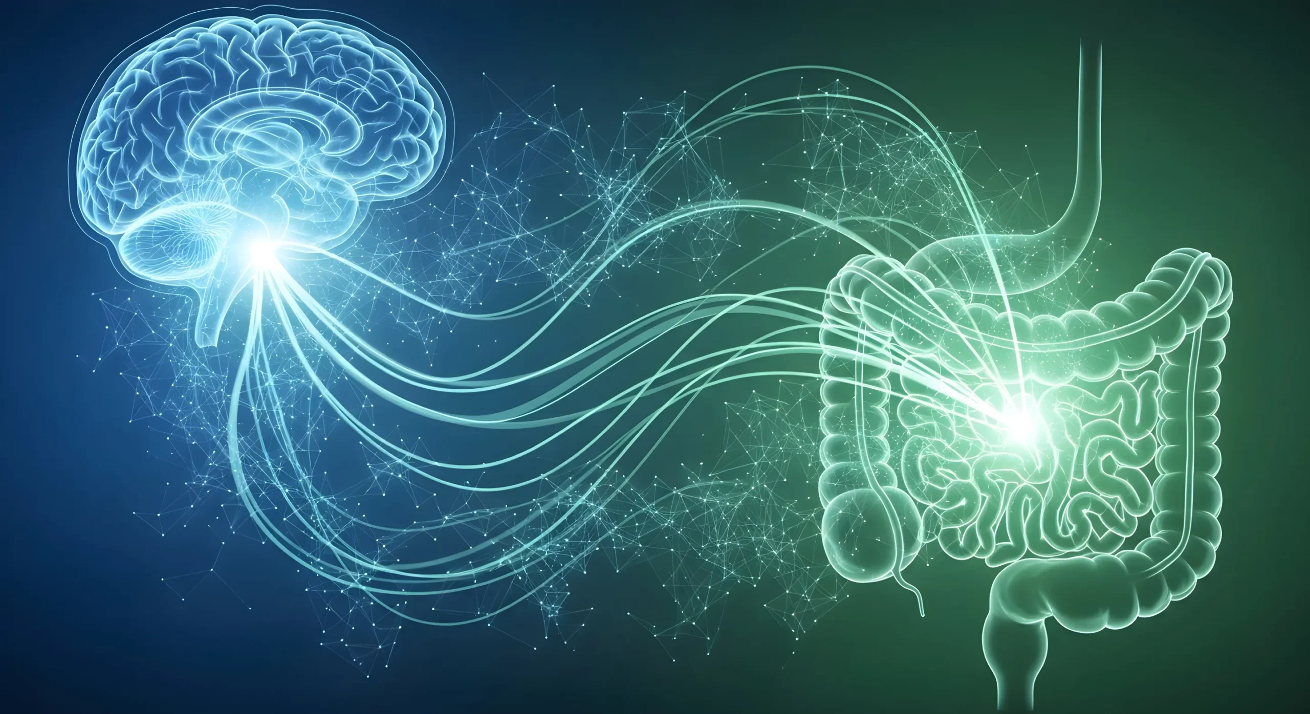 Die GI-Entzündungsachse im Fokus: Therapeutisches Potenzial von Omega-3 bei CED, Pankreatitis und MASLD Date & Time